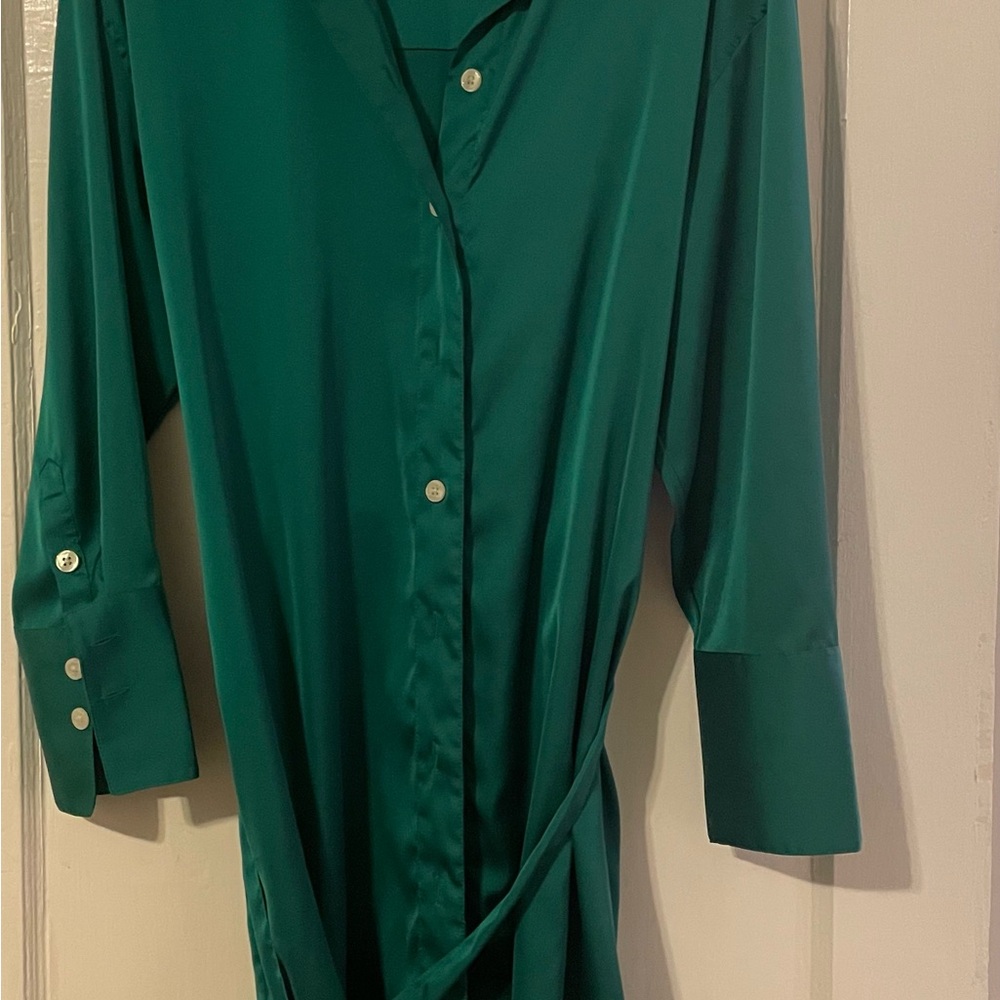 Banana Republic Emerald Green Satin Shirt Dress - Picture 3 of 3